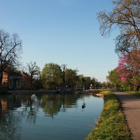Chambre D'Hotes Et Table D'Hotes Domaine De La Terrasse Sas Et Gite Anda Montauban Lacourt-Saint-Pierre ภายนอก รูปภาพ